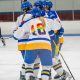 WNE Women's Hockey: Skills, Teams &amp; Growth Tips | Your Ultimate Source for Hockey Updates, Training Guides, and Equipment Recommendations