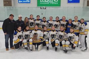 Your Guide to Thief River Falls Youth Hockey Programs Your Ultimate Source for Hockey Updates, Training Guides, and Equipment Recommendations Your Guide to Thief River Falls Youth Hockey Programs | Your Ultimate Source for Hockey Updates, Training Guides, and Equipment Recommendations