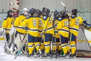 Moeller Hockey: The Crusader Hockey Program & More Your Ultimate Source for Hockey Updates, Training Guides, and Equipment Recommendations Moeller Hockey: The Crusader Hockey Program & More | Your Ultimate Source for Hockey Updates, Training Guides, and Equipment Recommendations