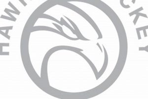 Premier Hawkeye Hockey Services: Training & More Your Ultimate Source for Hockey Updates, Training Guides, and Equipment Recommendations Premier Hawkeye Hockey Services: Training & More | Your Ultimate Source for Hockey Updates, Training Guides, and Equipment Recommendations
