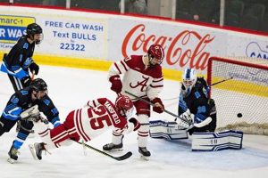 Mobile Alabama Hockey: Gulf Coast Ice & Skates Your Ultimate Source for Hockey Updates, Training Guides, and Equipment Recommendations Mobile Alabama Hockey: Gulf Coast Ice & Skates | Your Ultimate Source for Hockey Updates, Training Guides, and Equipment Recommendations