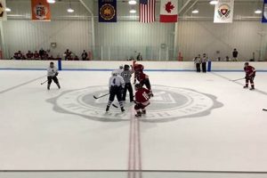 Your Guide to Roy McKnight Hockey Center | Hockey Hub Your Ultimate Source for Hockey Updates, Training Guides, and Equipment Recommendations Your Guide to Roy McKnight Hockey Center | Hockey Hub | Your Ultimate Source for Hockey Updates, Training Guides, and Equipment Recommendations