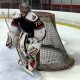 Top Ice Hockey Goalie Drills: Training Tips & More | Your Ultimate Source for Hockey Updates, Training Guides, and Equipment Recommendations