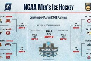 Early College Hockey Bracketology 2025: Future Ice! Your Ultimate Source for Hockey Updates, Training Guides, and Equipment Recommendations Early College Hockey Bracketology 2025: Future Ice! | Your Ultimate Source for Hockey Updates, Training Guides, and Equipment Recommendations