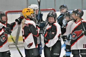 New England Youth Hockey Tournaments 2024: Your Guide Your Ultimate Source for Hockey Updates, Training Guides, and Equipment Recommendations New England Youth Hockey Tournaments 2024: Your Guide | Your Ultimate Source for Hockey Updates, Training Guides, and Equipment Recommendations