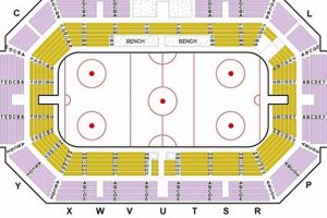 Buy Providence College Hockey Tickets Now: Prices & Deals! Your Ultimate Source for Hockey Updates, Training Guides, and Equipment Recommendations Buy Providence College Hockey Tickets Now: Prices & Deals! | Your Ultimate Source for Hockey Updates, Training Guides, and Equipment Recommendations