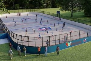 Find a Street Hockey Rink Near Me: Your Guide + Tips! Your Ultimate Source for Hockey Updates, Training Guides, and Equipment Recommendations Find a Street Hockey Rink Near Me: Your Guide + Tips! | Your Ultimate Source for Hockey Updates, Training Guides, and Equipment Recommendations