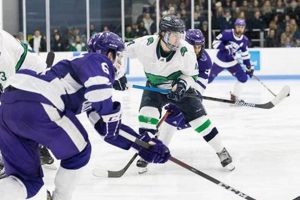Gulls on Ice: Endicott Men's Hockey - The Winning Edge Your Ultimate Source for Hockey Updates, Training Guides, and Equipment Recommendations Gulls on Ice: Endicott Men's Hockey - The Winning Edge | Your Ultimate Source for Hockey Updates, Training Guides, and Equipment Recommendations