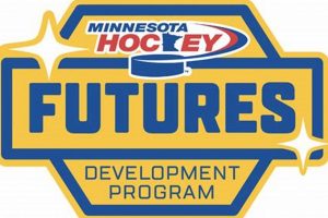 D6 Hockey Standings: Your League + Team Rankings Your Ultimate Source for Hockey Updates, Training Guides, and Equipment Recommendations D6 Hockey Standings: Your League + Team Rankings | Your Ultimate Source for Hockey Updates, Training Guides, and Equipment Recommendations