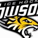 Towson Hockey: Tigers on Ice | Game Info & More | Your Ultimate Source for Hockey Updates, Training Guides, and Equipment Recommendations