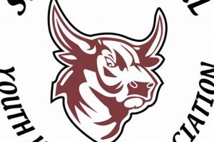 South St Paul Hockey: Packers Ice Hockey in SSP Your Ultimate Source for Hockey Updates, Training Guides, and Equipment Recommendations South St Paul Hockey: Packers Ice Hockey in SSP | Your Ultimate Source for Hockey Updates, Training Guides, and Equipment Recommendations