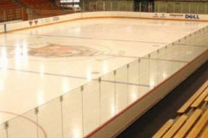 Buffalo State Hockey Arena: Bengals on Ice! Your Ultimate Source for Hockey Updates, Training Guides, and Equipment Recommendations Buffalo State Hockey Arena: Bengals on Ice! | Your Ultimate Source for Hockey Updates, Training Guides, and Equipment Recommendations