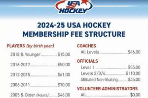 Sheboygan Youth Hockey: Develop Your Game Today! Your Ultimate Source for Hockey Updates, Training Guides, and Equipment Recommendations Sheboygan Youth Hockey: Develop Your Game Today! | Your Ultimate Source for Hockey Updates, Training Guides, and Equipment Recommendations