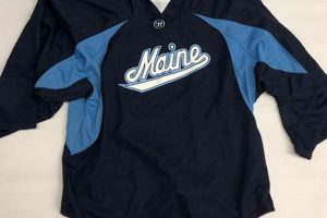 Best Hockey Goalie Jerseys: Styles & Protection Gear Your Ultimate Source for Hockey Updates, Training Guides, and Equipment Recommendations Best Hockey Goalie Jerseys: Styles & Protection Gear | Your Ultimate Source for Hockey Updates, Training Guides, and Equipment Recommendations