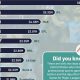 Minor League Hockey Pay: How Much Do Players REALLY Make? | Your Ultimate Source for Hockey Updates, Training Guides, and Equipment Recommendations