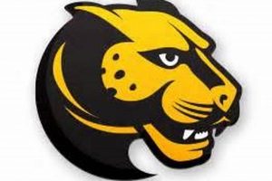 Wentworth Hockey: WIT Ice Hockey Program & More! Your Ultimate Source for Hockey Updates, Training Guides, and Equipment Recommendations Wentworth Hockey: WIT Ice Hockey Program & More! | Your Ultimate Source for Hockey Updates, Training Guides, and Equipment Recommendations