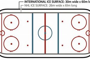 Olympic Hockey Rink Size Guide: Dimensions & Impact! Your Ultimate Source for Hockey Updates, Training Guides, and Equipment Recommendations Olympic Hockey Rink Size Guide: Dimensions & Impact! | Your Ultimate Source for Hockey Updates, Training Guides, and Equipment Recommendations