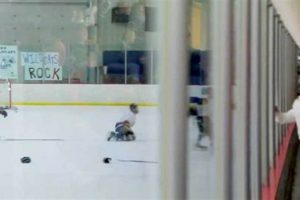 District 9 Hockey: Your Region's Hockey Hotspot! Your Ultimate Source for Hockey Updates, Training Guides, and Equipment Recommendations District 9 Hockey: Your Region's Hockey Hotspot! | Your Ultimate Source for Hockey Updates, Training Guides, and Equipment Recommendations