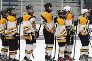 Great Neck Bruins Ice Hockey: Learn, Play, Dominate! Your Ultimate Source for Hockey Updates, Training Guides, and Equipment Recommendations Great Neck Bruins Ice Hockey: Learn, Play, Dominate! | Your Ultimate Source for Hockey Updates, Training Guides, and Equipment Recommendations