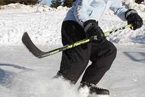 Mastering Stopping in Hockey: The Essential Guide Your Ultimate Source for Hockey Updates, Training Guides, and Equipment Recommendations Mastering Stopping in Hockey: The Essential Guide | Your Ultimate Source for Hockey Updates, Training Guides, and Equipment Recommendations