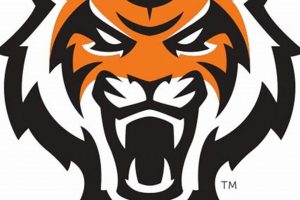 Idaho State Hockey: Your Guide to On-Ice Action! Your Ultimate Source for Hockey Updates, Training Guides, and Equipment Recommendations Idaho State Hockey: Your Guide to On-Ice Action! | Your Ultimate Source for Hockey Updates, Training Guides, and Equipment Recommendations