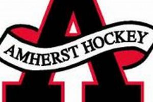 Amherst Knights Hockey: Learn to Play Local Hockey Your Ultimate Source for Hockey Updates, Training Guides, and Equipment Recommendations Amherst Knights Hockey: Learn to Play Local Hockey | Your Ultimate Source for Hockey Updates, Training Guides, and Equipment Recommendations
