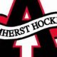 Amherst Knights Hockey: Learn to Play Local Hockey | Your Ultimate Source for Hockey Updates, Training Guides, and Equipment Recommendations