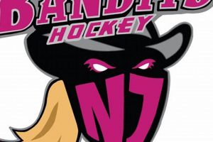 NJ Bandits Ice Hockey: Youth Hockey Excellence Your Ultimate Source for Hockey Updates, Training Guides, and Equipment Recommendations NJ Bandits Ice Hockey: Youth Hockey Excellence | Your Ultimate Source for Hockey Updates, Training Guides, and Equipment Recommendations