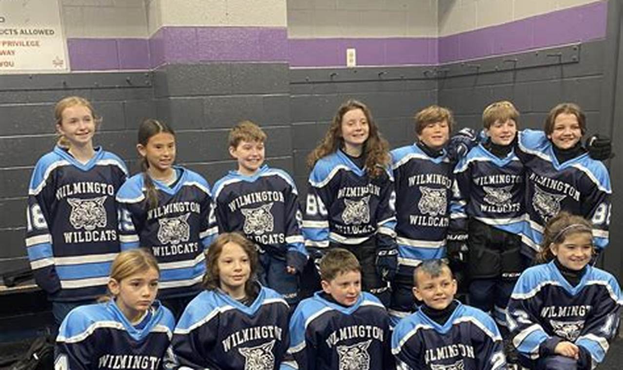 Wilmington Youth Hockey: Skills & Fun on the Ice! Your Ultimate Source for Hockey Updates, Training Guides, and Equipment Recommendations Wilmington Youth Hockey: Skills & Fun on the Ice! | Your Ultimate Source for Hockey Updates, Training Guides, and Equipment Recommendations