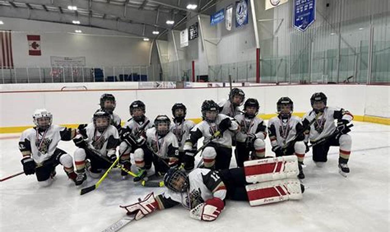 Greater Springfield Hockey League: Play, Teams & More Your Ultimate Source for Hockey Updates, Training Guides, and Equipment Recommendations Greater Springfield Hockey League: Play, Teams & More | Your Ultimate Source for Hockey Updates, Training Guides, and Equipment Recommendations