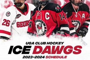 AAU D1 Hockey: Your Guide to Collegiate Ice Hockey Your Ultimate Source for Hockey Updates, Training Guides, and Equipment Recommendations AAU D1 Hockey: Your Guide to Collegiate Ice Hockey | Your Ultimate Source for Hockey Updates, Training Guides, and Equipment Recommendations