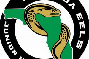 Florida Eels Youth Hockey: Skills, Teams & Florida Ice! Your Ultimate Source for Hockey Updates, Training Guides, and Equipment Recommendations Florida Eels Youth Hockey: Skills, Teams & Florida Ice! | Your Ultimate Source for Hockey Updates, Training Guides, and Equipment Recommendations