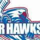 Grow Your Hawks: Junior Hawks Hockey Programs & Skills | Your Ultimate Source for Hockey Updates, Training Guides, and Equipment Recommendations