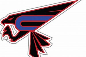 Chesterfield Falcons Hockey: Your Path to Hockey Excellence Your Ultimate Source for Hockey Updates, Training Guides, and Equipment Recommendations Chesterfield Falcons Hockey: Your Path to Hockey Excellence | Your Ultimate Source for Hockey Updates, Training Guides, and Equipment Recommendations