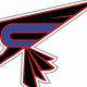 Chesterfield Falcons Hockey: Your Path to Hockey Excellence | Your Ultimate Source for Hockey Updates, Training Guides, and Equipment Recommendations