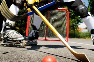 Top Rated Best Sticks for Street Hockey Gear Your Ultimate Source for Hockey Updates, Training Guides, and Equipment Recommendations Top Rated Best Sticks for Street Hockey Gear | Your Ultimate Source for Hockey Updates, Training Guides, and Equipment Recommendations