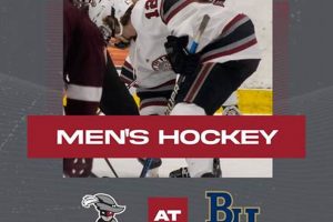 Your Guide to Hamline Men's Hockey | News & More Your Ultimate Source for Hockey Updates, Training Guides, and Equipment Recommendations Your Guide to Hamline Men's Hockey | News & More | Your Ultimate Source for Hockey Updates, Training Guides, and Equipment Recommendations