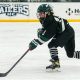Nichols Women's Ice Hockey: All-Women Collegiate Sports | Your Ultimate Source for Hockey Updates, Training Guides, and Equipment Recommendations