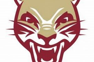 Lakeville South Hockey: News, Scores & More Your Ultimate Source for Hockey Updates, Training Guides, and Equipment Recommendations Lakeville South Hockey: News, Scores & More | Your Ultimate Source for Hockey Updates, Training Guides, and Equipment Recommendations