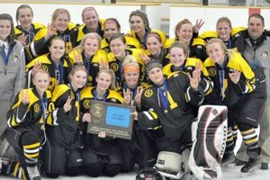 Hutchinson MN Hockey: The Pride on Ice & Beyond Your Ultimate Source for Hockey Updates, Training Guides, and Equipment Recommendations Hutchinson MN Hockey: The Pride on Ice & Beyond | Your Ultimate Source for Hockey Updates, Training Guides, and Equipment Recommendations