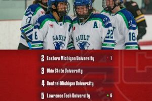 ACHA D2 Hockey Rankings: Top Teams & Future Stars Your Ultimate Source for Hockey Updates, Training Guides, and Equipment Recommendations ACHA D2 Hockey Rankings: Top Teams & Future Stars | Your Ultimate Source for Hockey Updates, Training Guides, and Equipment Recommendations