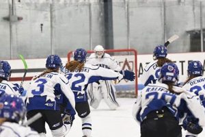 Dundee Leafs Hockey: Local Ice Kings & Future Stars Your Ultimate Source for Hockey Updates, Training Guides, and Equipment Recommendations Dundee Leafs Hockey: Local Ice Kings & Future Stars | Your Ultimate Source for Hockey Updates, Training Guides, and Equipment Recommendations