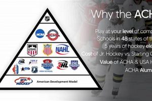 ACHA Hockey Stats: Score Smarter, Win Bigger! Your Ultimate Source for Hockey Updates, Training Guides, and Equipment Recommendations ACHA Hockey Stats: Score Smarter, Win Bigger! | Your Ultimate Source for Hockey Updates, Training Guides, and Equipment Recommendations