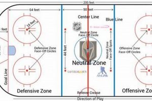 Understanding the Hockey Goal Line: Rules & Controversy Your Ultimate Source for Hockey Updates, Training Guides, and Equipment Recommendations Understanding the Hockey Goal Line: Rules & Controversy | Your Ultimate Source for Hockey Updates, Training Guides, and Equipment Recommendations