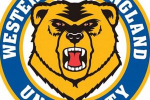 Guide to Western New England Hockey | Teams & More Your Ultimate Source for Hockey Updates, Training Guides, and Equipment Recommendations Guide to Western New England Hockey | Teams & More | Your Ultimate Source for Hockey Updates, Training Guides, and Equipment Recommendations