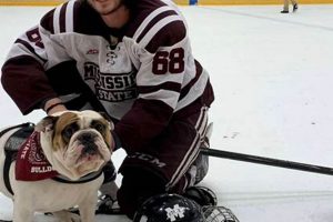 MSU Hockey: Bulldog Ice at Mississippi State University Your Ultimate Source for Hockey Updates, Training Guides, and Equipment Recommendations MSU Hockey: Bulldog Ice at Mississippi State University | Your Ultimate Source for Hockey Updates, Training Guides, and Equipment Recommendations