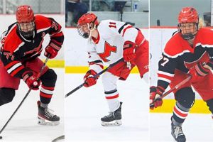 Off-Season Summer League Hockey: Drills & More Your Ultimate Source for Hockey Updates, Training Guides, and Equipment Recommendations Off-Season Summer League Hockey: Drills & More | Your Ultimate Source for Hockey Updates, Training Guides, and Equipment Recommendations