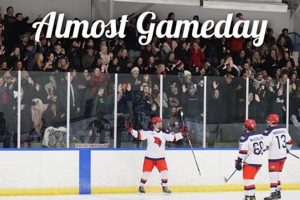 Saginaw Valley Hockey: Cardinals on Ice! Your Ultimate Source for Hockey Updates, Training Guides, and Equipment Recommendations Saginaw Valley Hockey: Cardinals on Ice! | Your Ultimate Source for Hockey Updates, Training Guides, and Equipment Recommendations