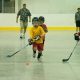 Find Ball Hockey Leagues Near Me: Play Today! | Your Ultimate Source for Hockey Updates, Training Guides, and Equipment Recommendations