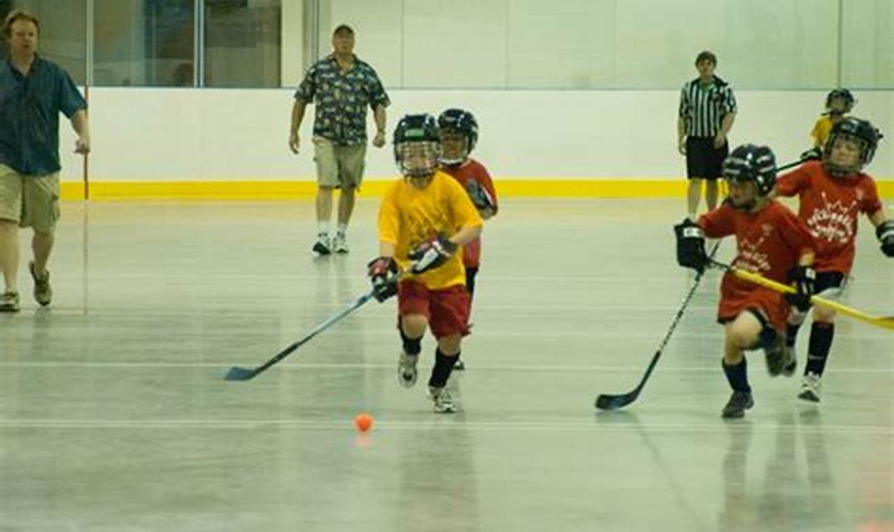 Find Ball Hockey Leagues Near Me: Play Today! Your Ultimate Source for Hockey Updates, Training Guides, and Equipment Recommendations Find Ball Hockey Leagues Near Me: Play Today! | Your Ultimate Source for Hockey Updates, Training Guides, and Equipment Recommendations